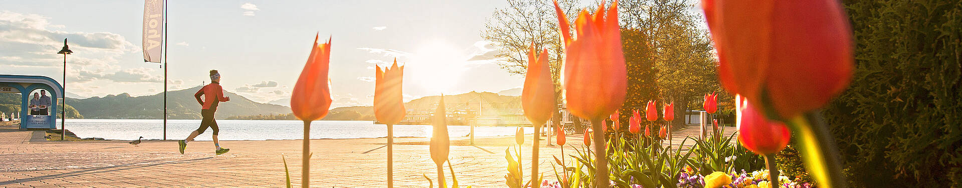 Woerthersee Laufen im Frühling