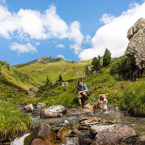 Wandern mit Hund im Nationalpark Hohe Tauern