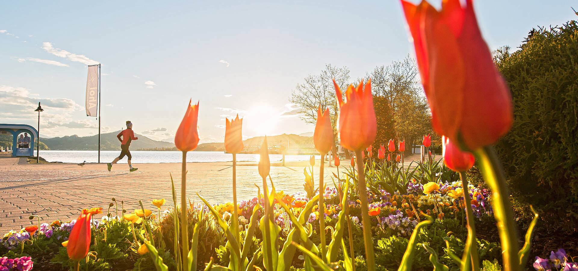 Fruehling am Woerthersee
