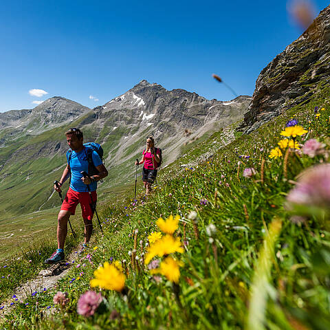 Tauernhoehenweg im Nationalpark Hohe Tauern